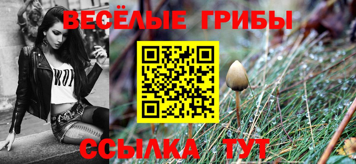 Псилоцибиновые грибы ЛСД Скопин