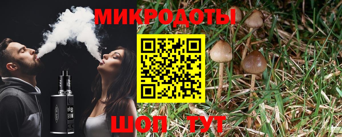 Скопин  Псилоцибиновые грибы Psilocybe  Вход с VPN  Псилоцибиновые грибы прущие грибы 